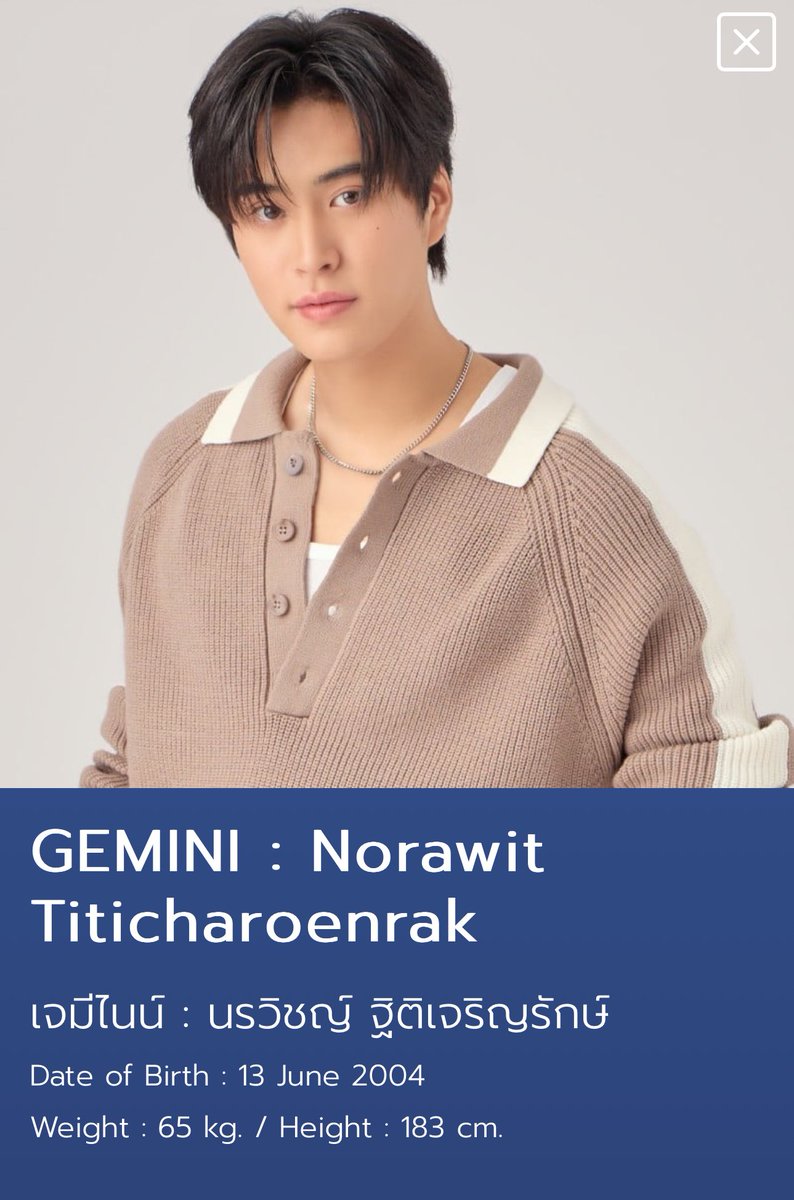 Geminint_Family tweet media