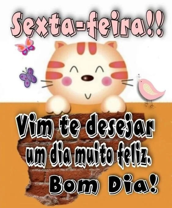 VandinhaFlaJM¹³ ❤️🖤💛🌈🌙🪞🇧🇷 tweet media