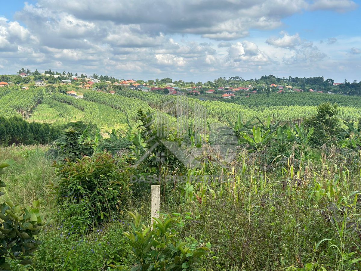 Properties_Dash's tweet image. This well-located plot of land is available for sale in the peaceful and developing areas of  Nakyeyerongosa, near Kakiri Town, off Kampala-Hoima Road
For more information or to arrange a viewing, please contact us
#DashProperties #RealEstate #Kakiri #Kampala #Invest #PlotForSale