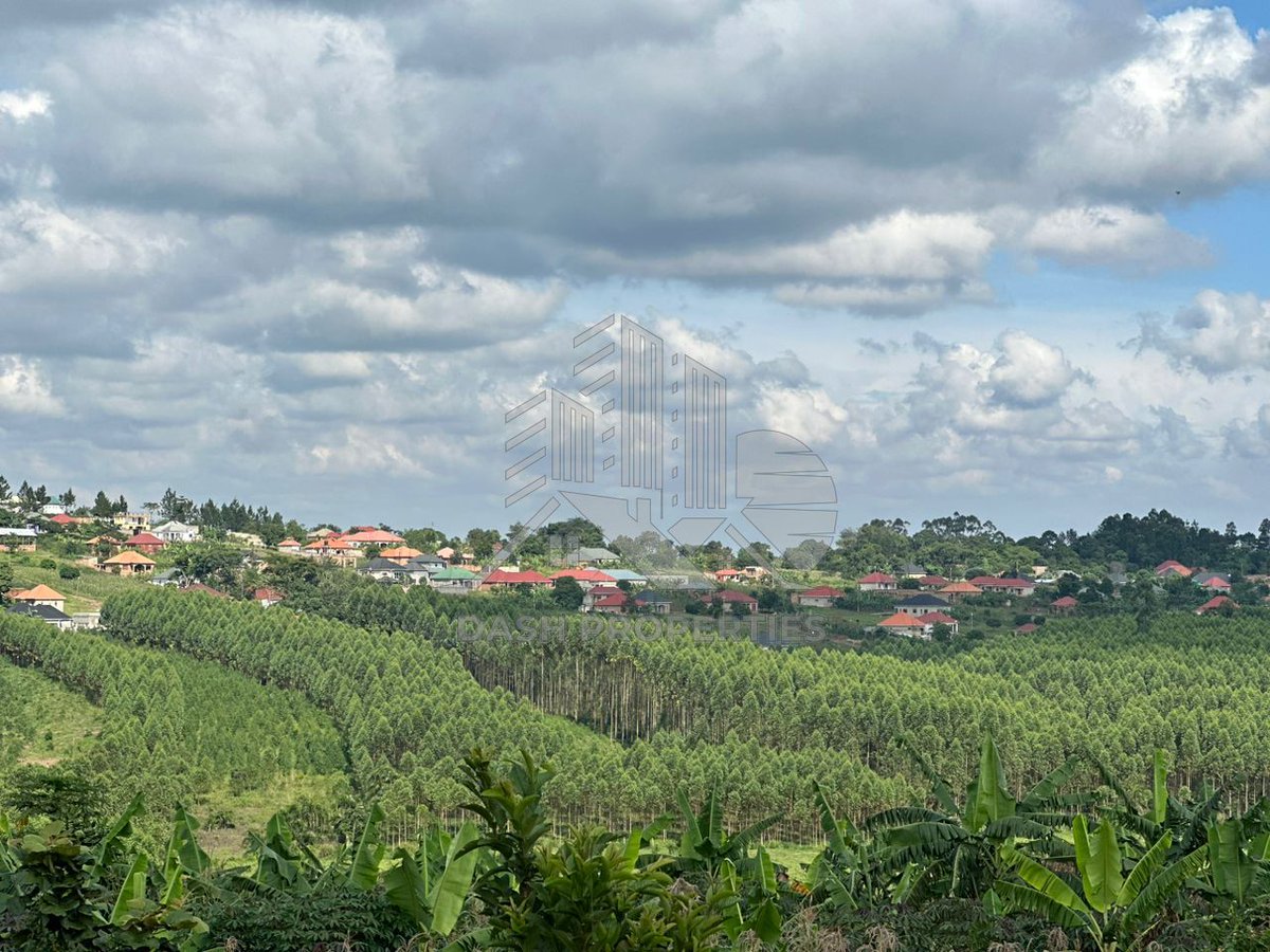 Properties_Dash's tweet image. This well-located plot of land is available for sale in the peaceful and developing areas of  Nakyeyerongosa, near Kakiri Town, off Kampala-Hoima Road
For more information or to arrange a viewing, please contact us
#DashProperties #RealEstate #Kakiri #Kampala #Invest #PlotForSale