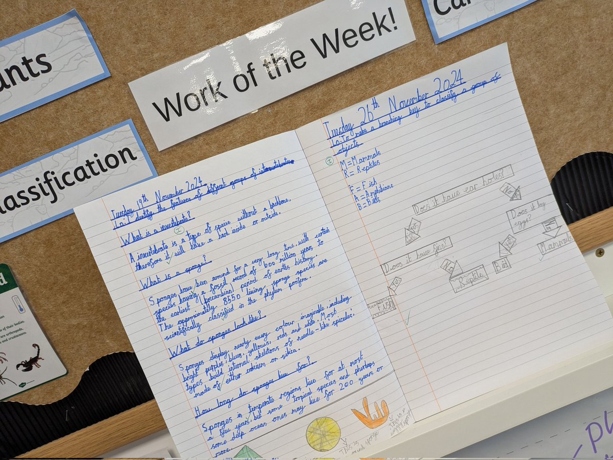 AaronWanford's tweet photo. A great time spent with leaders at Jupiter Primary School this week. We really saw the process of learning and how pupils' learning is showcased and celebrated in every class. Great use of manipulative for all pupils even in Y6 too! @DanesEdTrust #makingthedifferencetogether https://t.co/z9jPuQXAU3