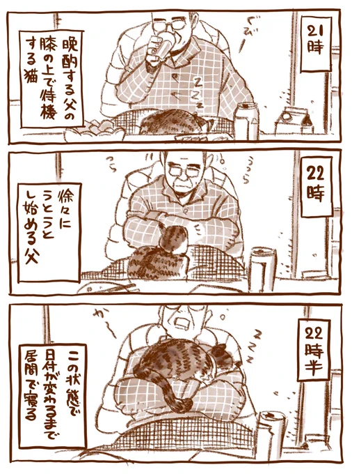 父と先代実家猫 