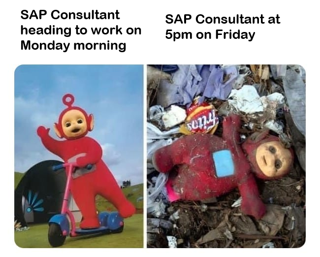 Eursap's tweet image. Hang in there! We&apos;ve almost made it!
#sap #sapconsulting #sapmemes #fridayfun #tgif