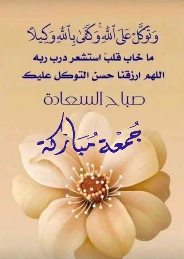 Mahmoud45087665's tweet photo. https://t.co/Guqzx8ow6q
