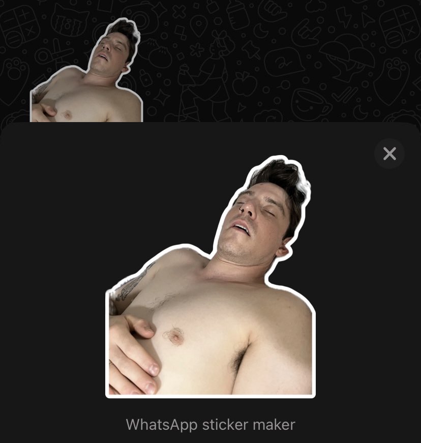 matt phillips🇵🇸 tweet media