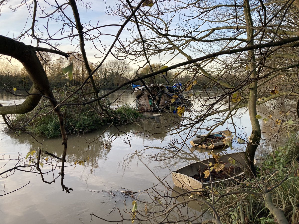 twickenham tweets tweet media