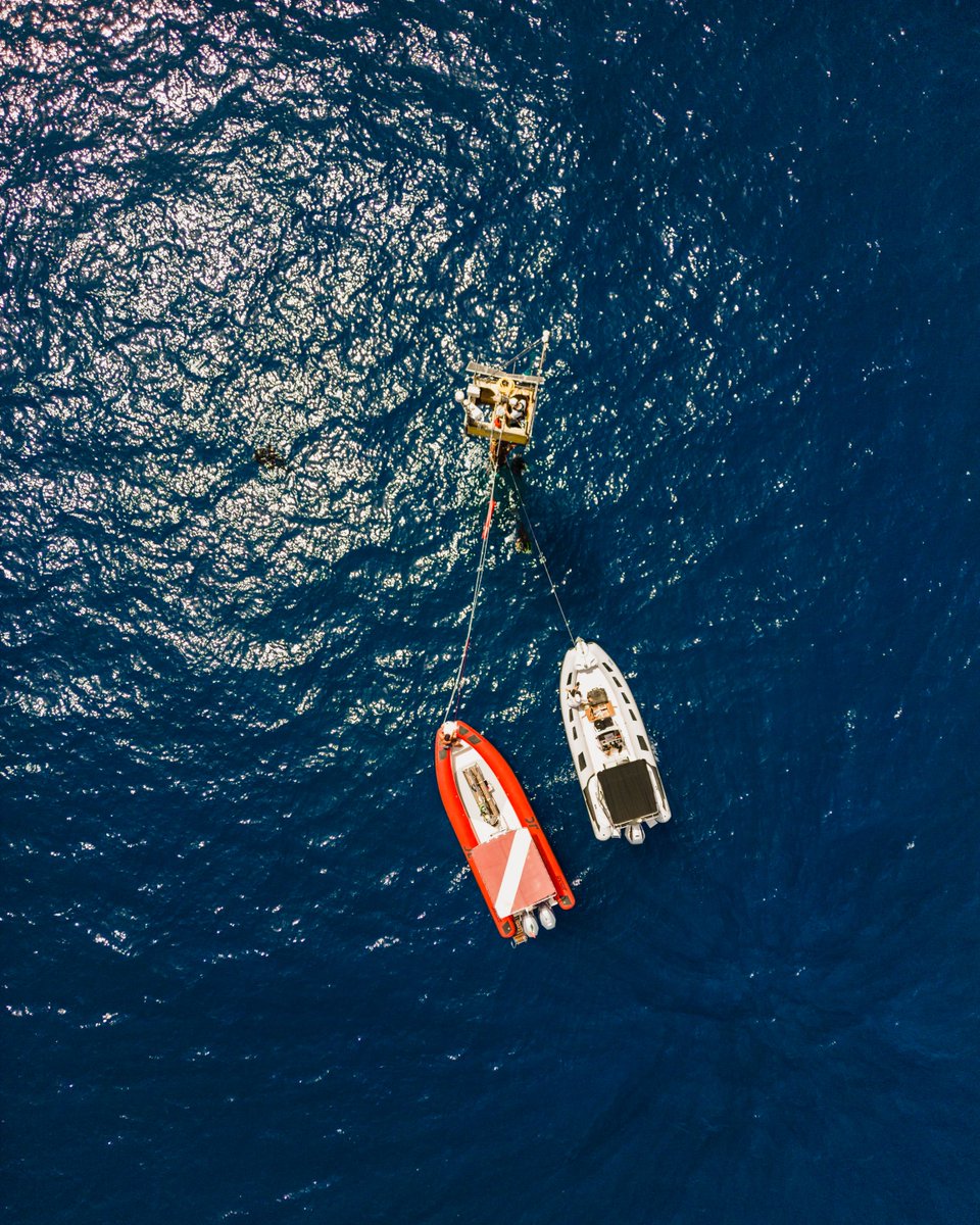 GEORGE partners <a href="/ICOS_RI/">ICOS RI</a>, <a href="/EMSOeu/">EMSO ERIC</a> &amp; <a href="/EuroArgoERIC/">Euro-Argo ERIC</a>, represented by their DGs, will be present at #ICRI2024, the International Conference on Research Infrastructures, to discuss #ClimateRisks, digital tools, and improving #OceanObservations. 

➡️More info: icri2024.au