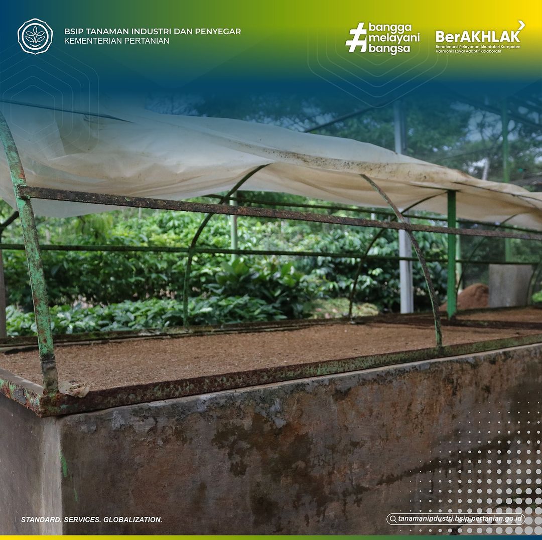 brmptri's tweet image. Hi, #frenSIP
Mari kita berkenalan dengan bedengan!
Bedengan adalah tempat tumbuh tanaman yang sudah diolah dengan cara meninggikan tanah dan diberi perlakuan khusus (misalnya pemberian pupuk organik, dan lain-lain).