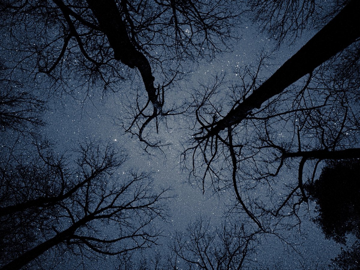 Beautiful Georgia tweet media