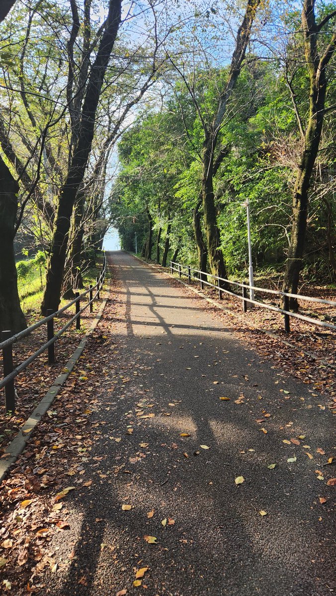 tennishybrid's tweet photo. テニスの楽しさはプレーだけじゃなくて
テニス前後のコミュニケーションとかそういう部分もあるよなぁ
練習終わりにだべってる時間の楽しさたるや https://t.co/GY4JD12GPn