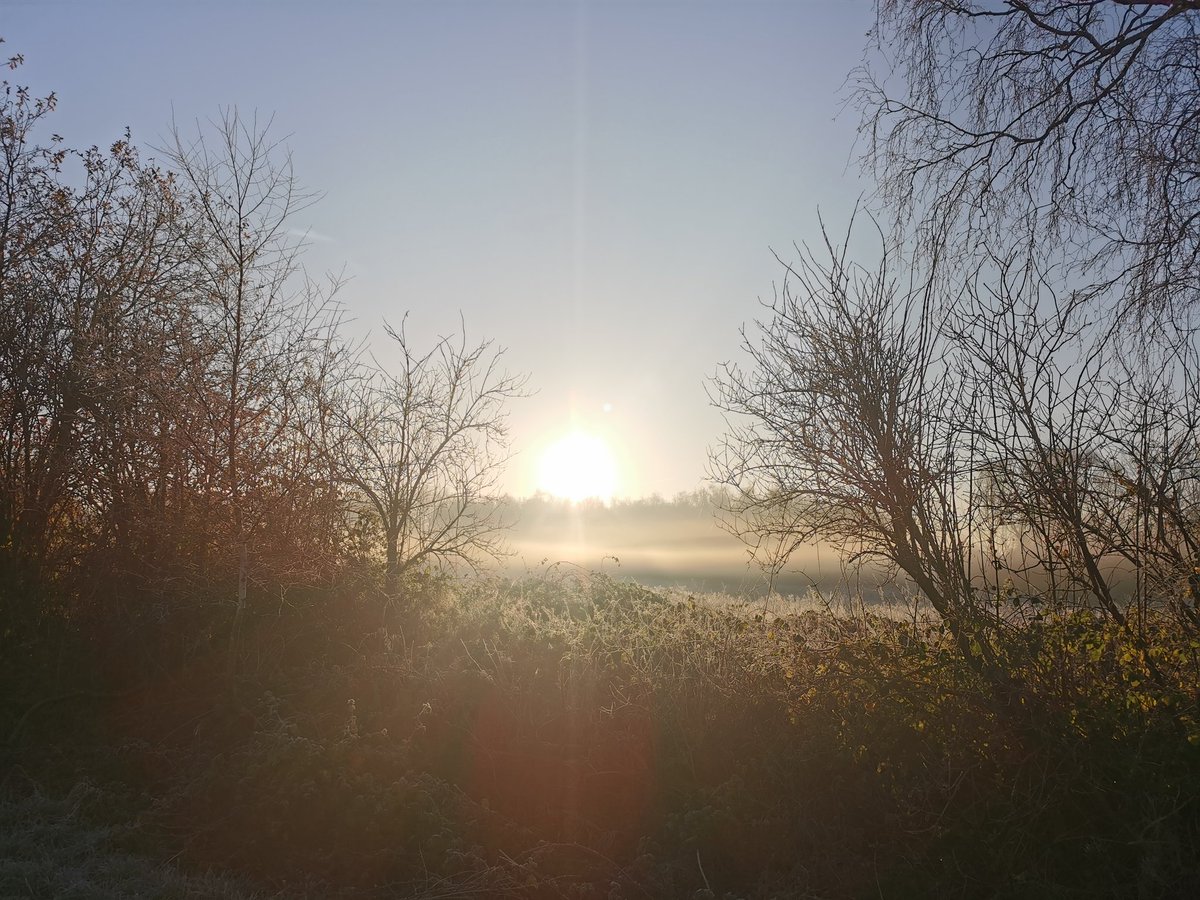 Koud maar heerlijk in het zonnetje in het <a href="/stadsbos013/">Stadsbos013</a> tijdens mijn #ochtendwandeling