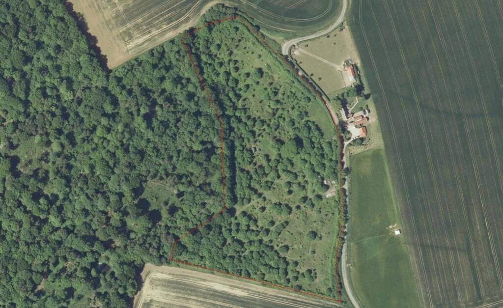Julia Koricheva (@korichevalab) on Twitter photo PhD studentship on ecological interplay between tree planting and natural processes to create future forests is available <a href="/StirUni/">University of Stirling</a> with @EFuenMont, @KirstyJPark and @watts_km iapetus2.ac.uk/studentships/u… PhD studentship on ecological interplay between tree planting and natural processes to create future forests is available <a href="/StirUni/">University of Stirling</a> with @EFuenMont, @KirstyJPark and @watts_km iapetus2.ac.uk/studentships/u…