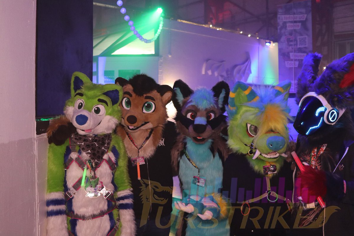 Katyro 🦊 tweet media