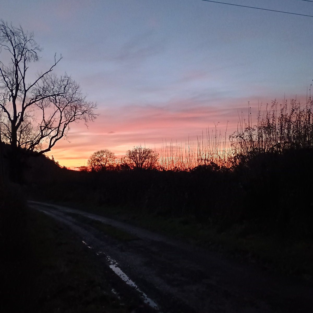 Same view as yesterday, slightly earlier start