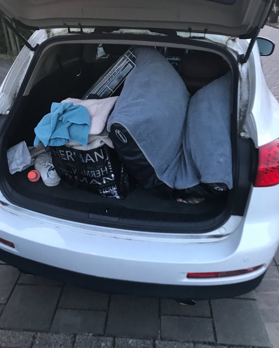 LabradorYuki's tweet image. Today’s #YukiPic theme is: cars.
These 2 pics are from September 2017. On my way to my first vacation with opa &amp;amp; oma.