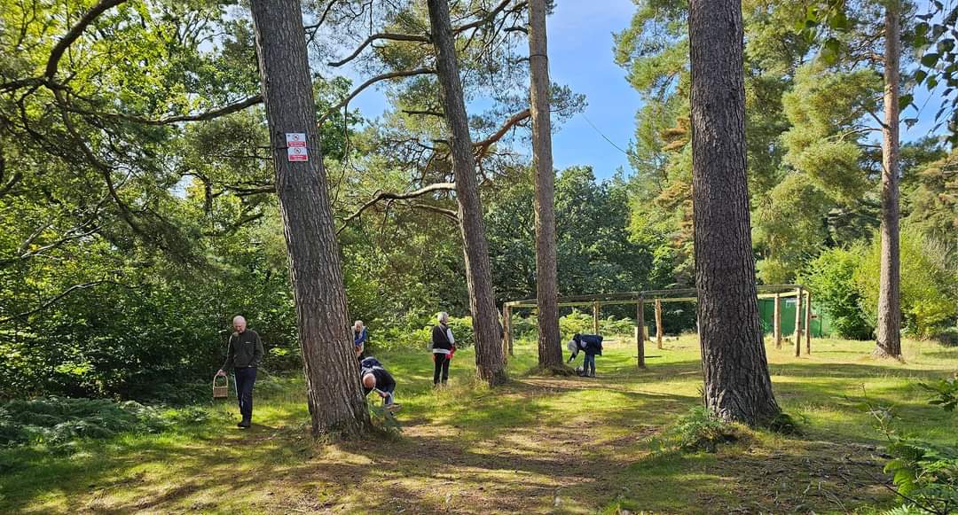 torfaencouncil's tweet photo. Blaen Bran Community Woodland has been recognised as part of the National Forest of Wales.
The Welsh Government’s National Forest programme aims to create a network of woodlands across Wales.
Visit https://t.co/W1TYsXFMM7
#NationalTree Week #NurtureNatureTorfaen https://t.co/fSev0jnVww