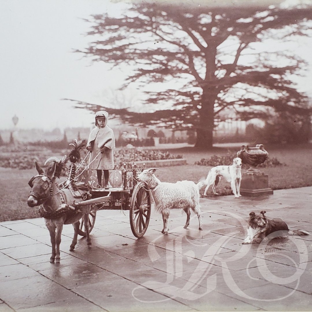 Essex Record Office tweet media