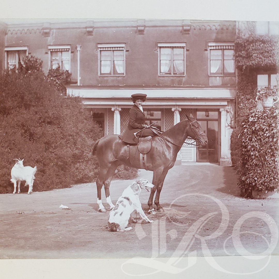 Essex Record Office tweet media