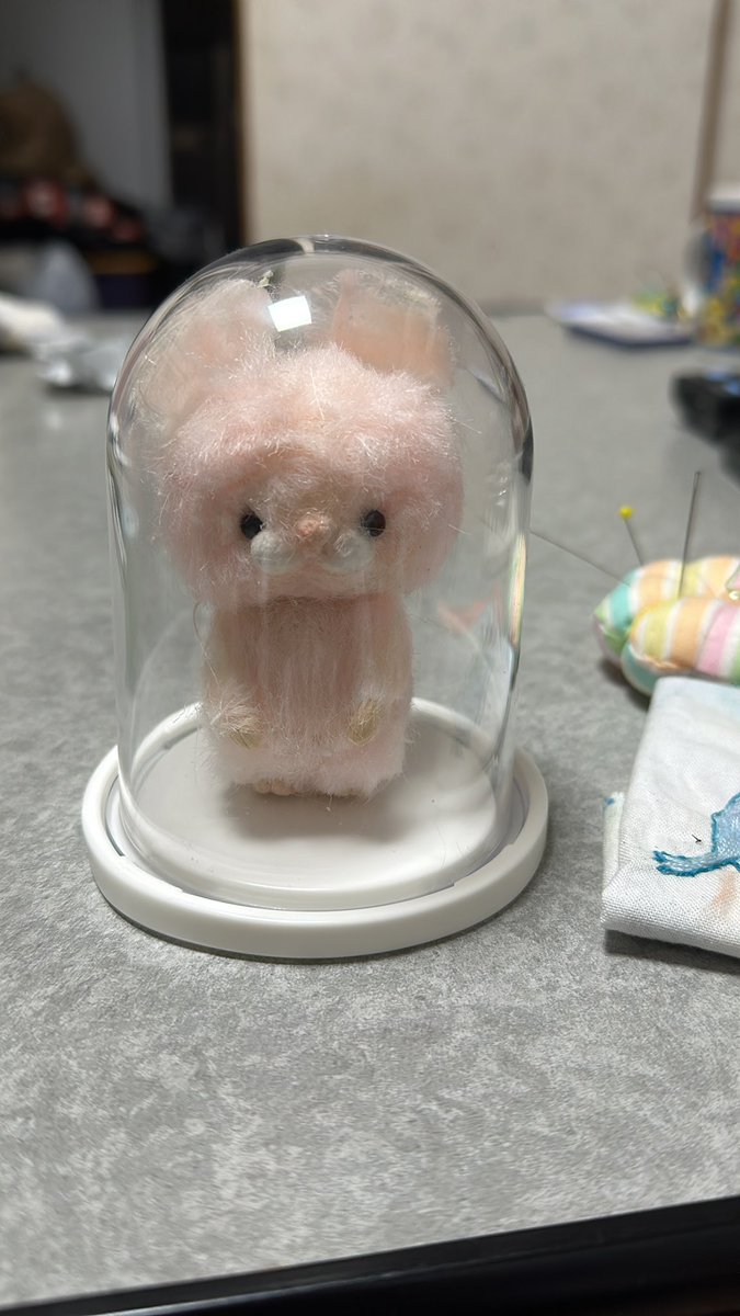 セリアで見つけたディスプレイドーム、とてもシンデレラフィット🤭