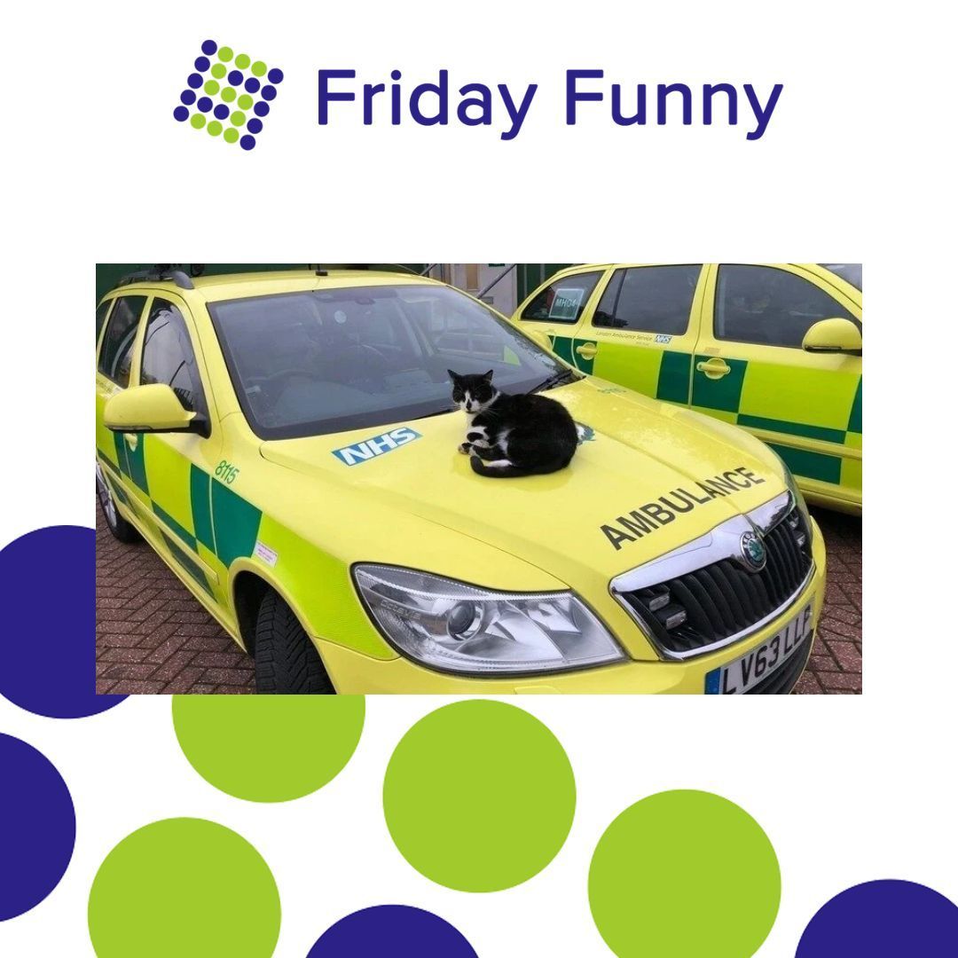 A cat named Defib has been saved from eviction from Walthamstow ambulance station after a petition garnered over 60,000 signatures. 

The London Ambulance Service has agreed to let him stay in his home of 16 years. #DefibTheCat #CatRescue