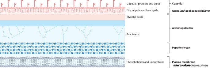 DiseasePrimers tweet picture