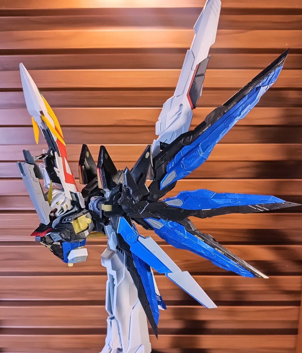 プロジェクトMG 1/100 ライジングフリーダムガンダム
#Gundam  
#gunpla
#ガンプラ好きな人たちと繋がりたい 
#ガンダムSEEDFREEDOM 
#ガンプラ