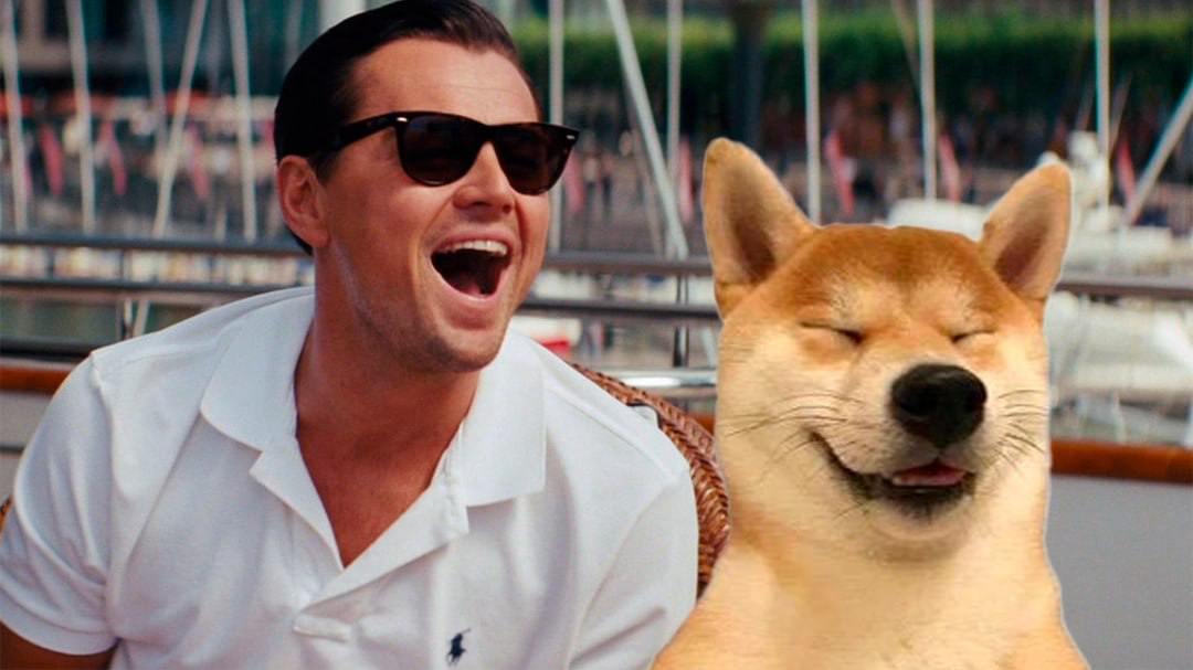 $haha dog tweet media