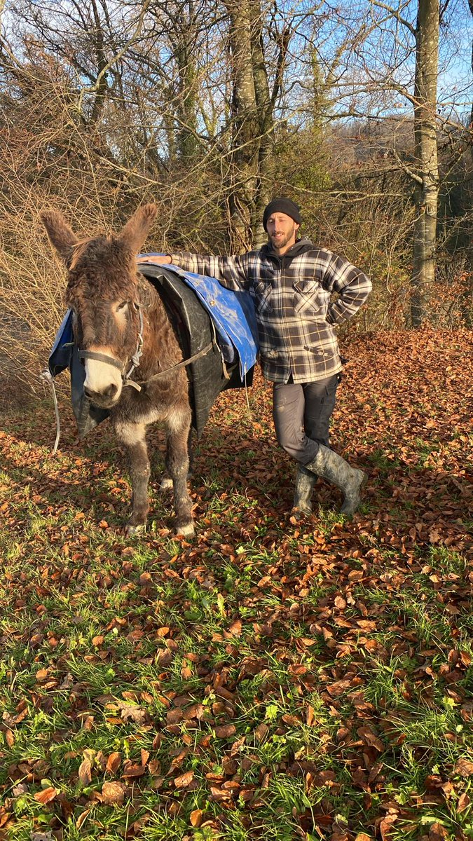 The Cábrer 🪶🏇🏼🐏🐑🐑🐑🐐🐕‍🦺🐕‍🦺🪶 tweet media