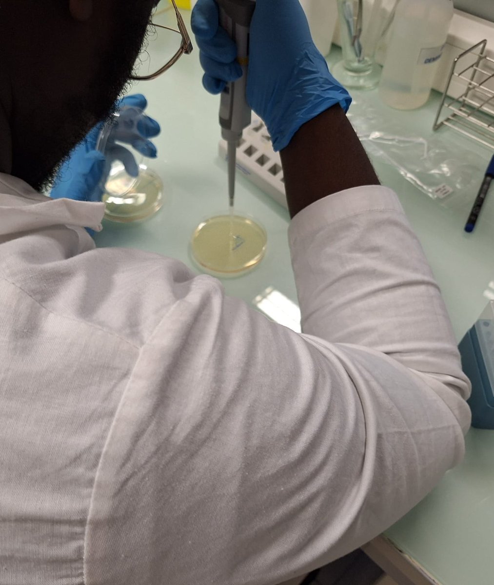 We're always greedy for pictures of students working on ABE experiments!
Thanks Audrey from Lycée Leonard de Vinci (St-Michel sur orge) for these pics! The students looks greats and congrats for all these beautiful bacterias 🌸

<a href="/ABEProgOffice/">Amgen Biotech Experience (ABE) Program Office</a> <a href="/SabriCol94/">Sabrina Colasse</a> #amgenbiotechexperience