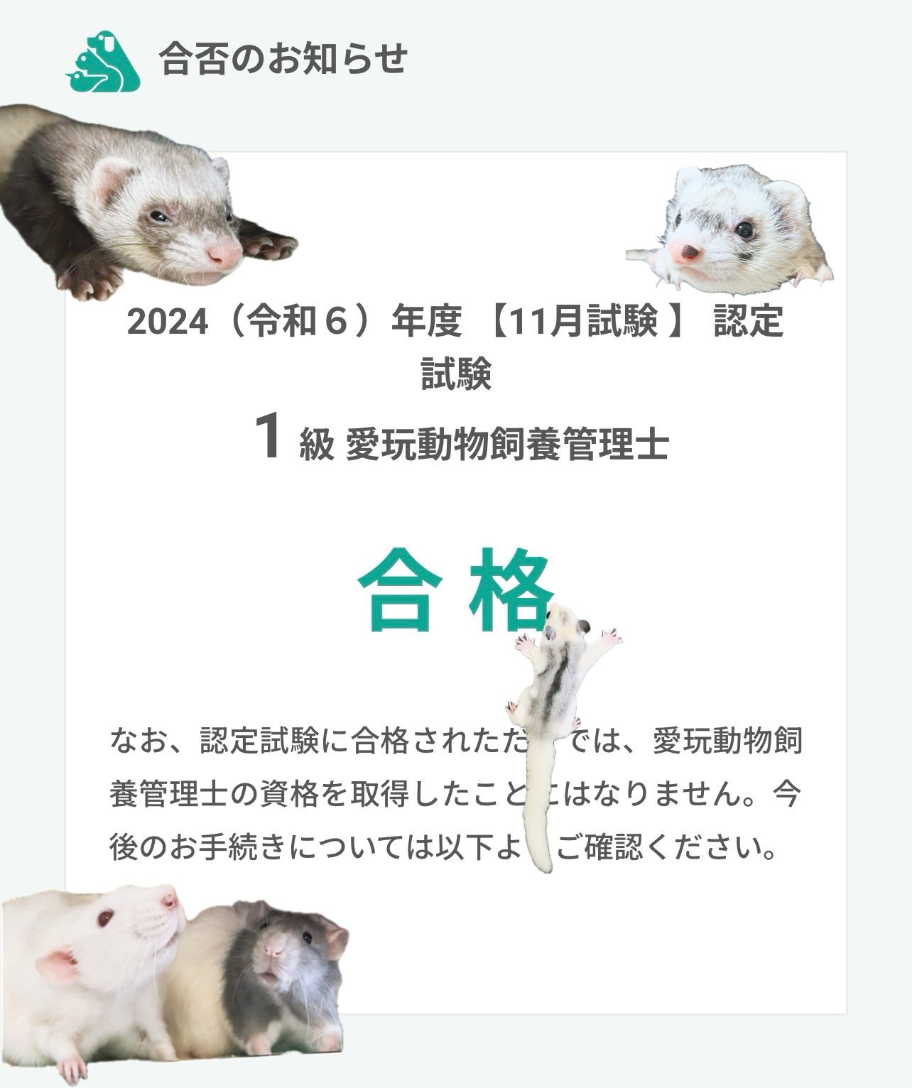 愛玩動物飼養管理士1級 - Search / X