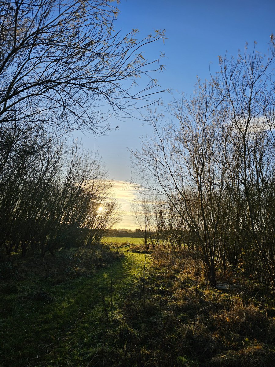 HannahVCooper's tweet image. Making a change from sampling arable land today. Another beautiful weather sampling afternoon with project students from @UoNBiosciences☀️