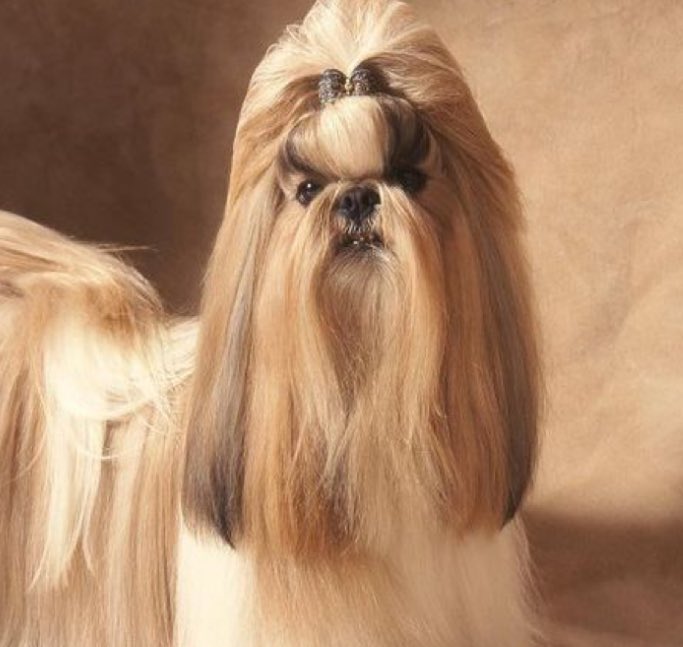 💇‍♀️