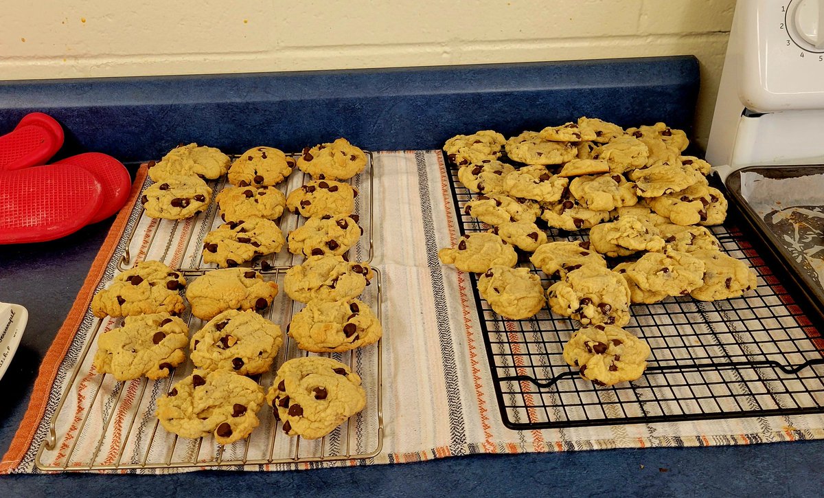 Desiree Trott tweet media