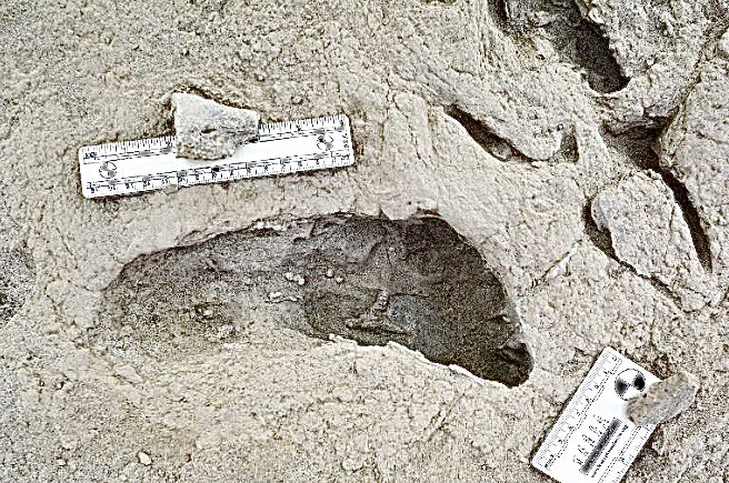 John Gillespie tweet media