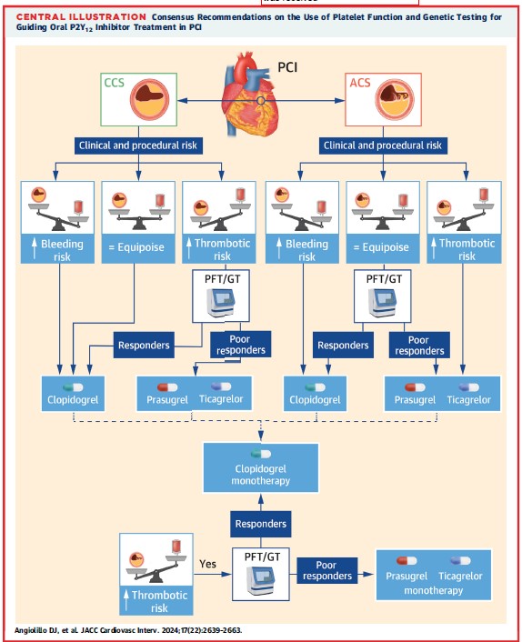 José Luis Ferreiro Gutiérrez (@drjlferreiro) on Twitter photo ✅International Consensus Statement on Platelet Function and Genetic Testing in Percutaneous Coronary Intervention - 2024 Update
jacc.org/doi/full/10.10…
A great honour to be part of the team led by D Angiolillo and @DirkSibbing
<a href="/shci_sec/">ACI-SEC: Hemodinamica</a> <a href="/clinica_sec/">Asociación Cardiología Clínica SEC</a> <a href="/GTrombosis/">GTrombosisCVSEC</a> <a href="/tarrakotsubo/">Cardio Tarragona</a> ✅International Consensus Statement on Platelet Function and Genetic Testing in Percutaneous Coronary Intervention - 2024 Update
jacc.org/doi/full/10.10…
A great honour to be part of the team led by D Angiolillo and @DirkSibbing
<a href="/shci_sec/">ACI-SEC: Hemodinamica</a> <a href="/clinica_sec/">Asociación Cardiología Clínica SEC</a> <a href="/GTrombosis/">GTrombosisCVSEC</a> <a href="/tarrakotsubo/">Cardio Tarragona</a>