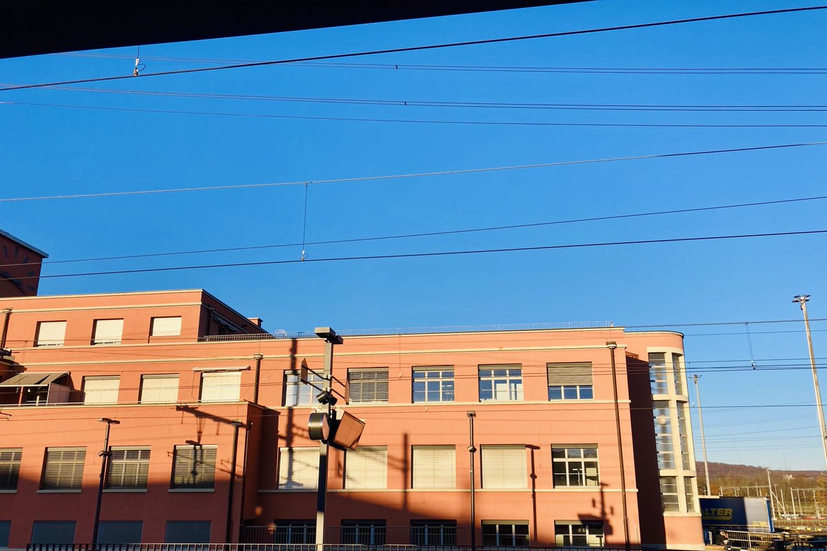 Dorothea Baur (Dr.) tweet media