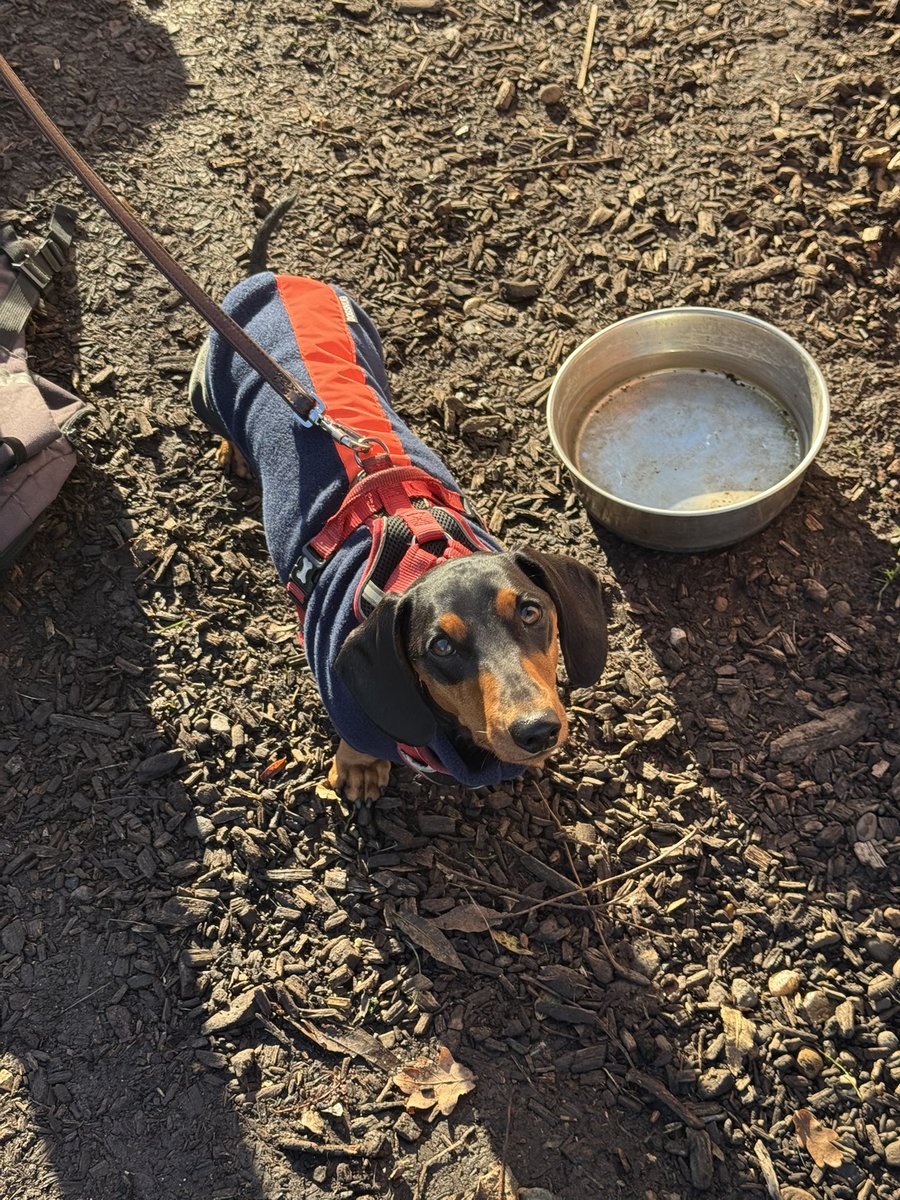 Ranger Duke tweet media