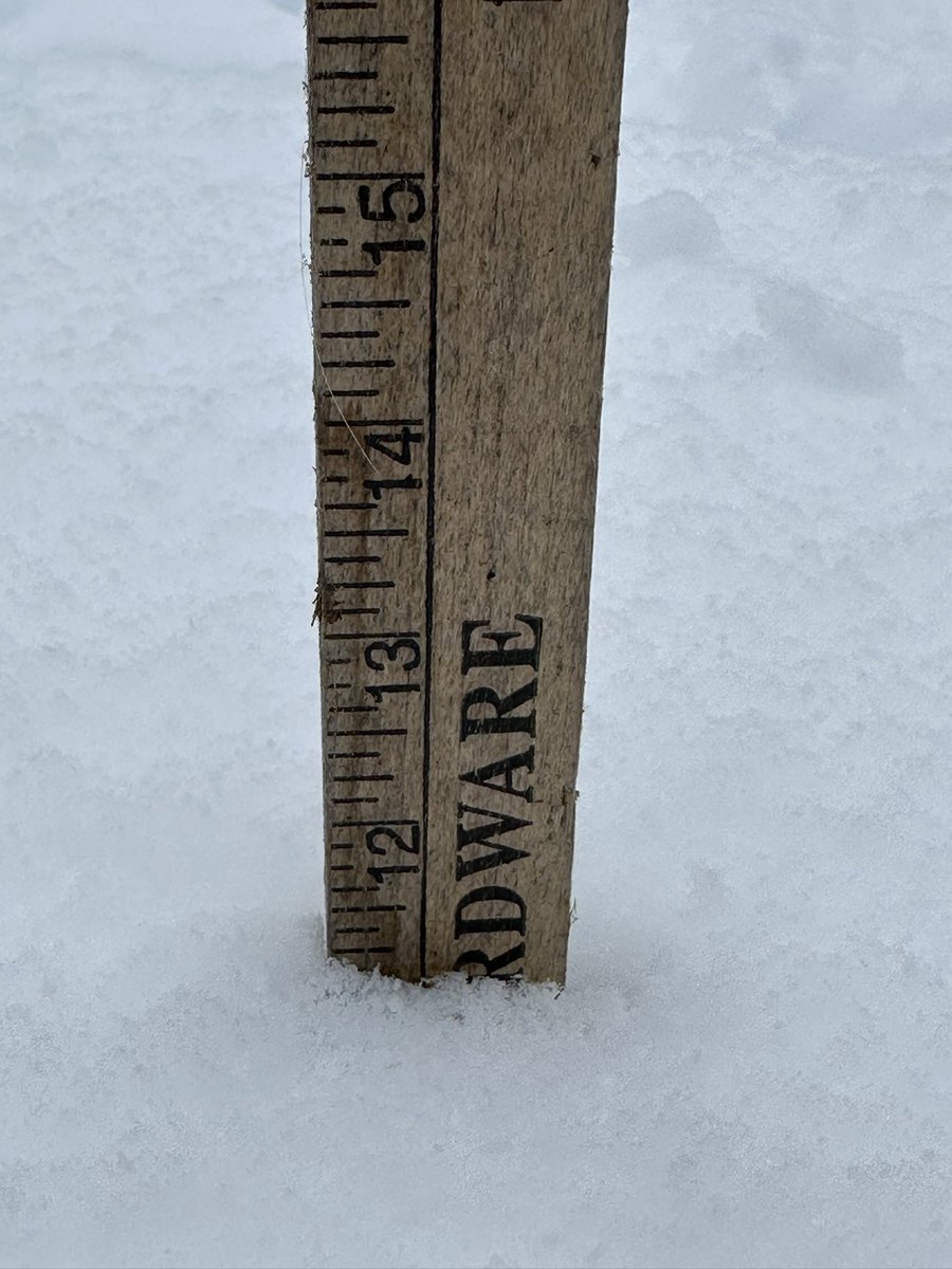 for you, <a href="/NWSBurlington/">NWS Burlington</a>. 11.25” storm total in braintree at 1,575’. ❄️