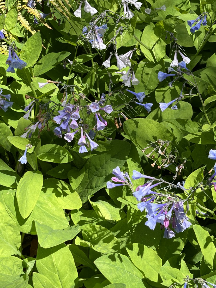 More from the past, seeds for the future.