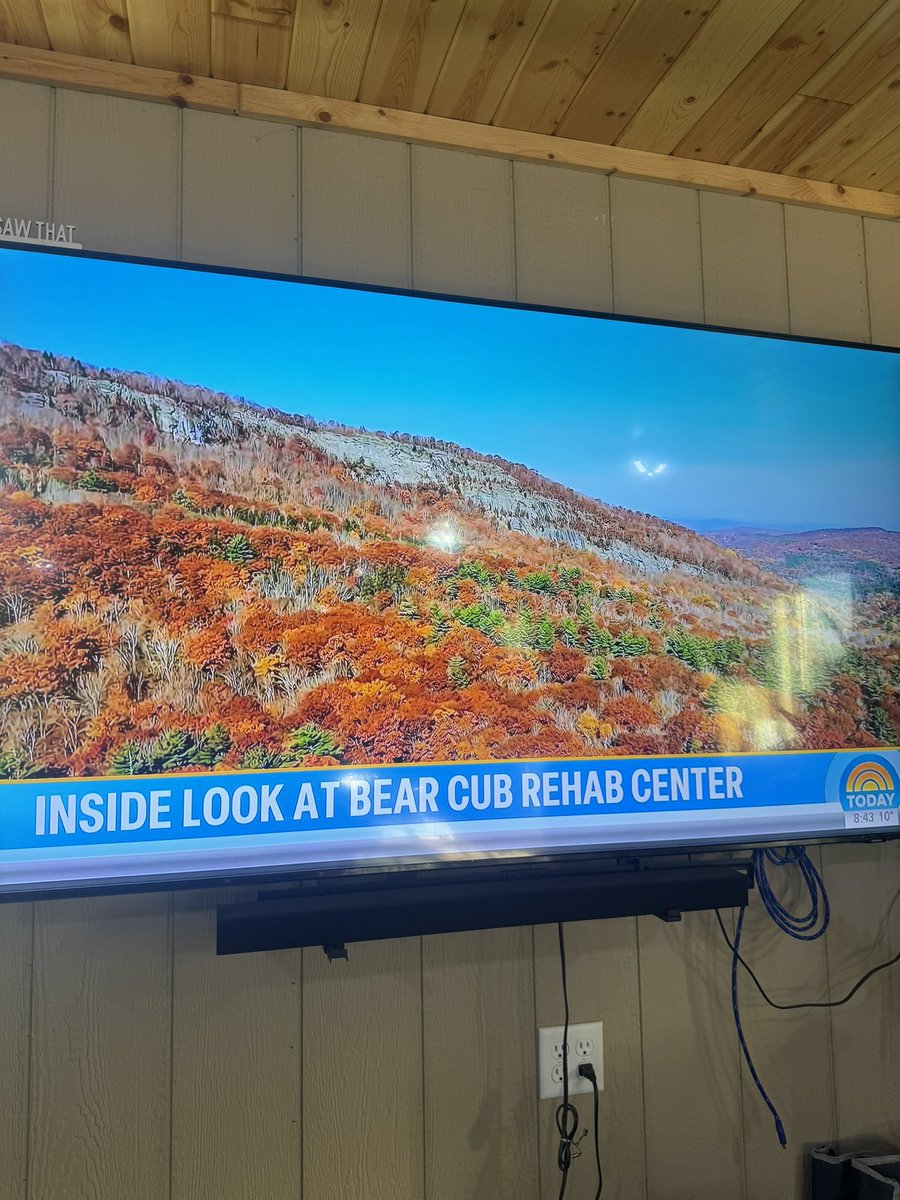 The <a href="/TODAYshow/">TODAY</a> is doing NFC North coverage