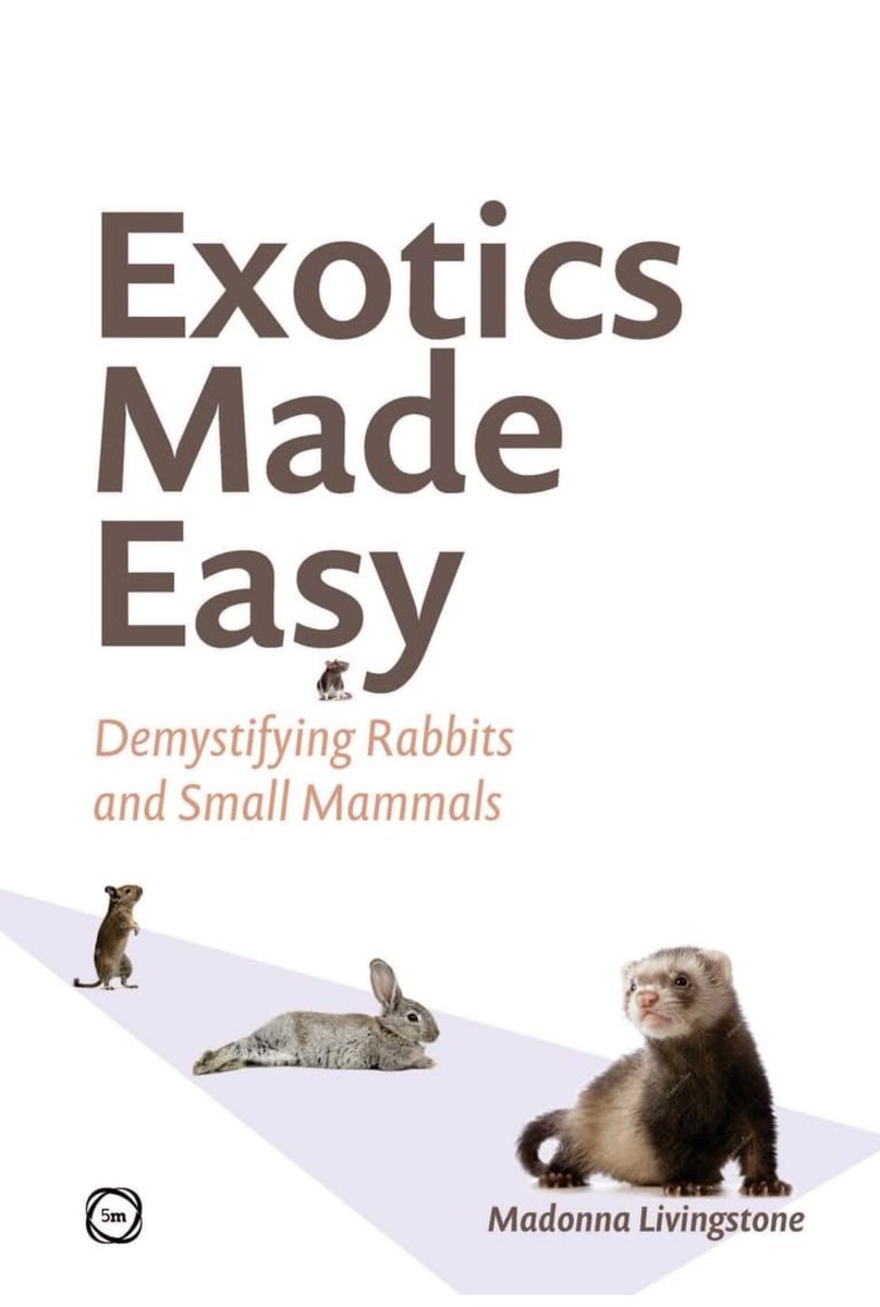 So, I did a thing 🙈 My first textbook is now available for preorder:

Exotics Made Easy: Demystifying Rabbits and Small Mammals amzn.eu/d/4LDMoJb #Amazon
