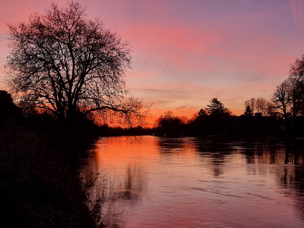 Simon Griffiths: Publisher, Author, Swimmer tweet media