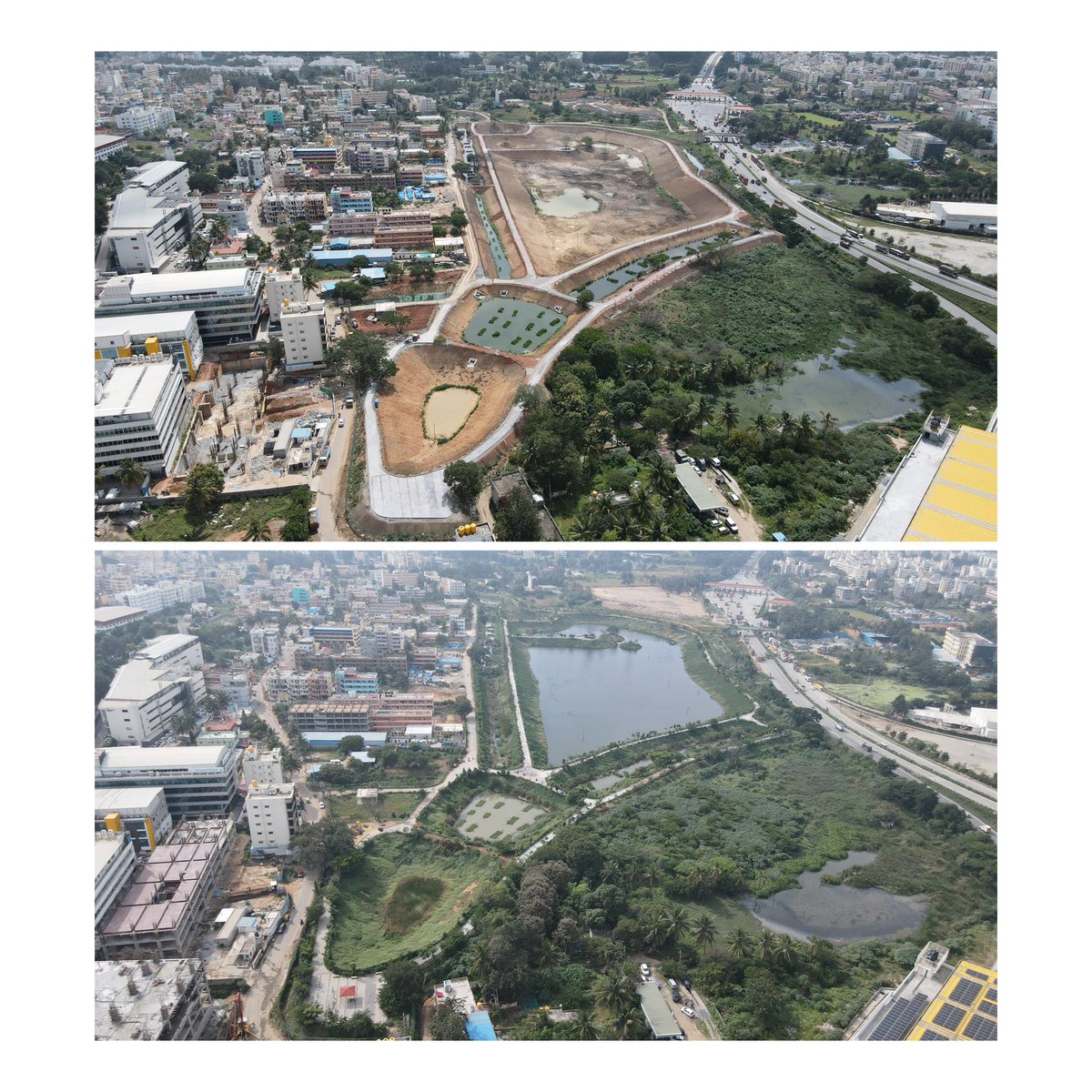 AMalligavad's tweet photo. This is Doddathogur Lake of 44 acres,which is near Electronic City in Bengaluru,which was filled with Sewage and Industrial Effluents,was dead about 25 years,we rejuvenated in 2023,This year due to good rains in the monsoon 2024,Lake filled with rain water of 35 Crores litres Now https://t.co/NaULRYyjid