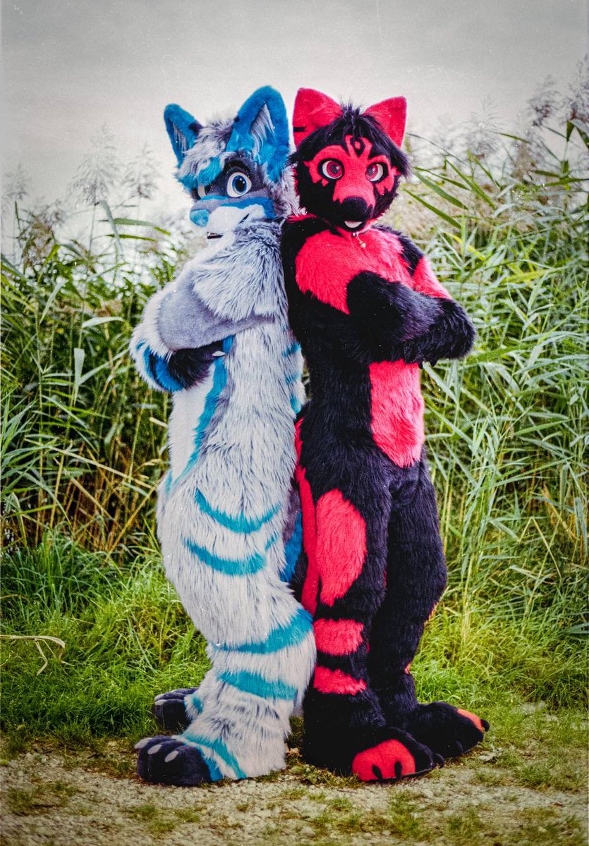 😎 Just Two Cool Dudes🦊🐺

🦊🐺Just kicking back being a cool animal with <a href="/IcanFox/">IcanFox</a> on this #FursuitFriday 😎

🦊 :<a href="/IcanFox/">IcanFox</a> 
📸By: <a href="/StejfS/">Štejf</a> 
🪡(my suit) By: <a href="/whitewingsuits/">Whitewing Creations</a> 

#cute #adorable #fluffy #dog #canine #wusky #furry #fursuit #fursuiter #FursuitFriday #fox #cool