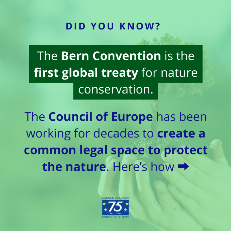 CoE_Environment's tweet photo. #Wellbeing of 👱 humans and 🦝 #WildFauna are inseparable. 
Caring for #biodiversity = better future for humans and #wildlife. 
🦉Learn how the @coe #BernConvention helps protecting biodiversity 👇: 
🔗https://t.co/u0PRh8YSdR