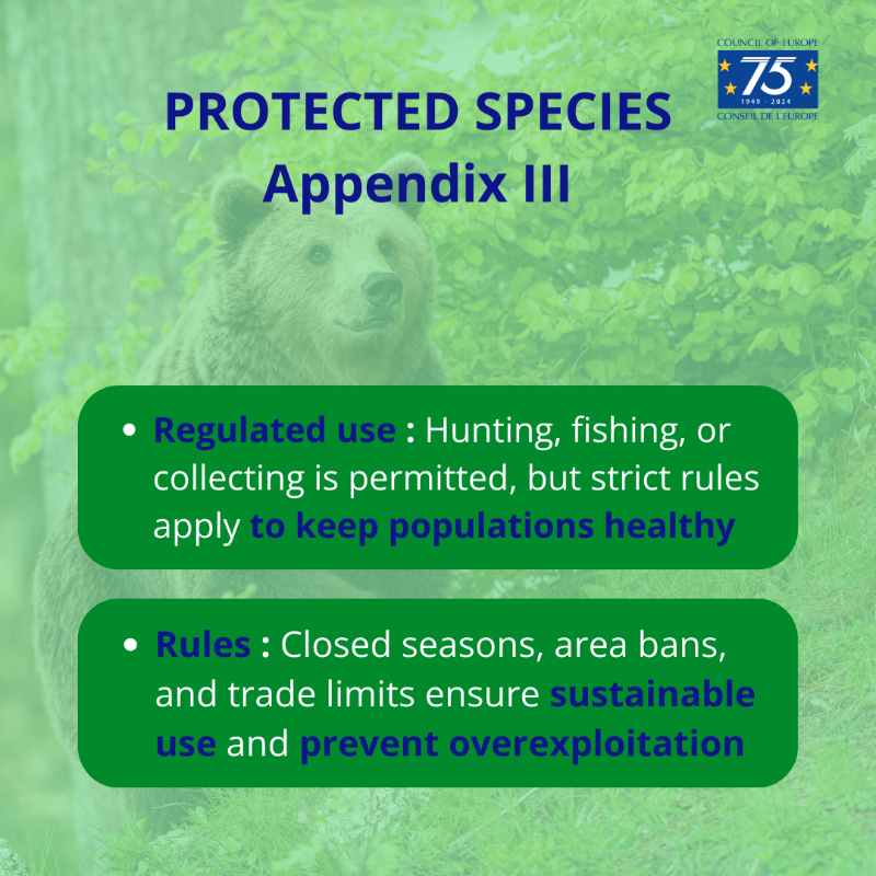 CoE_Environment's tweet photo. #Wellbeing of 👱 humans and 🦝 #WildFauna are inseparable. 
Caring for #biodiversity = better future for humans and #wildlife. 
🦉Learn how the @coe #BernConvention helps protecting biodiversity 👇: 
🔗https://t.co/u0PRh8YSdR