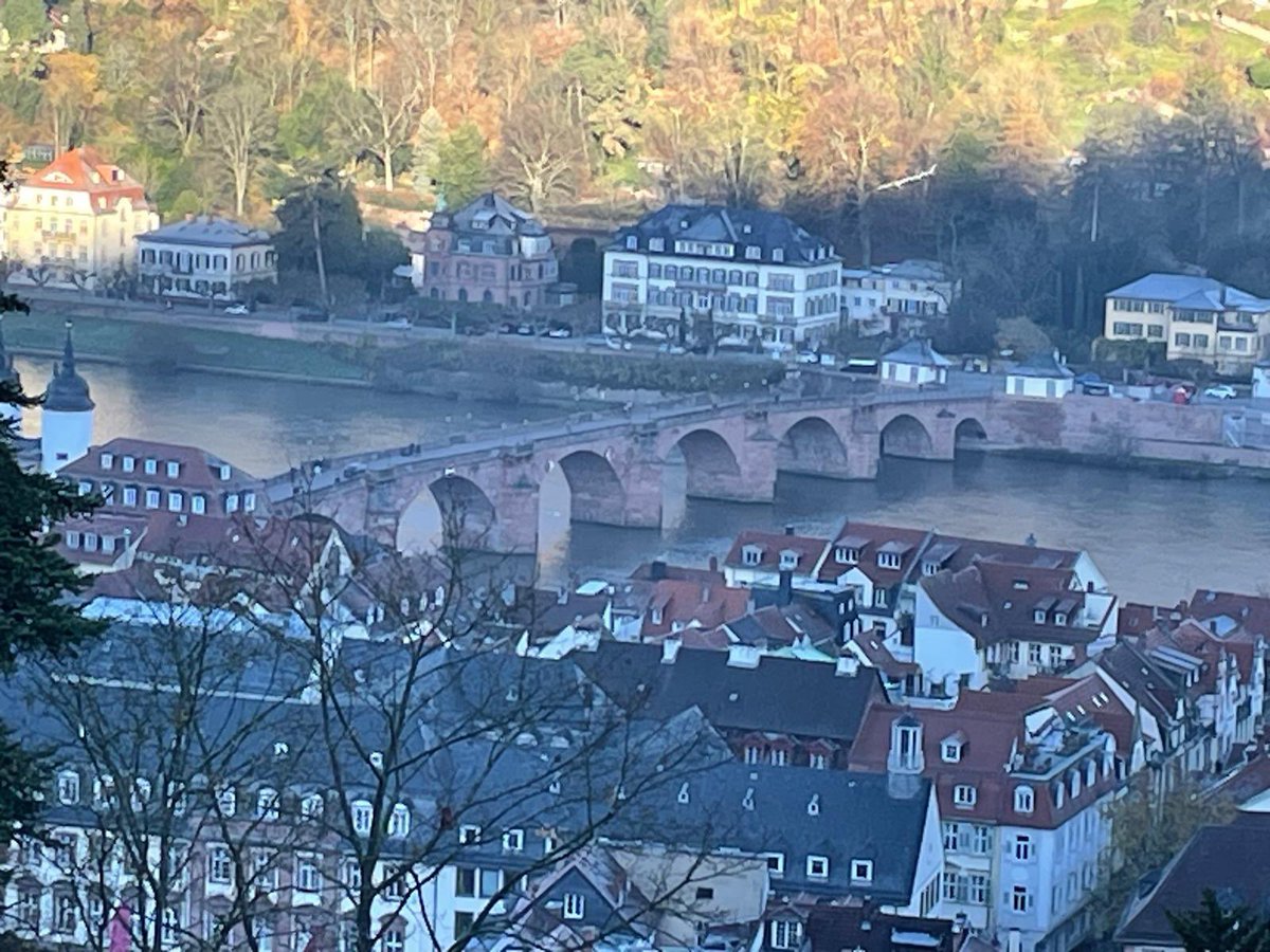 German Exchange: Today the group were in Heidelberg, with their exchange partners, before heading back to school for the LFS Christmas Fayre! <a href="/DCGSVisits/">DCGS Visits</a>