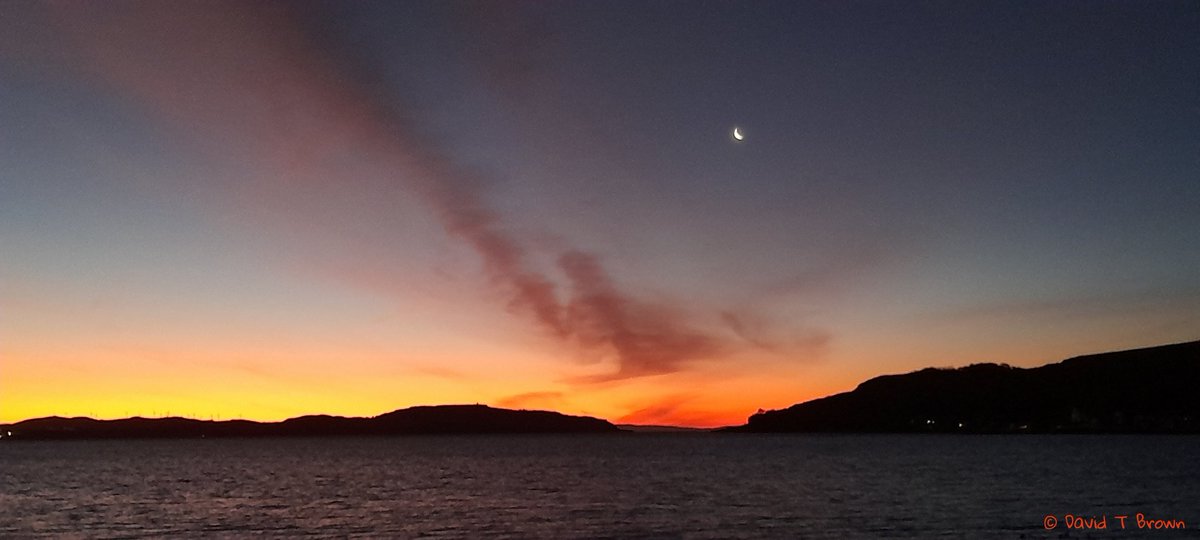 Wild Bute tweet media