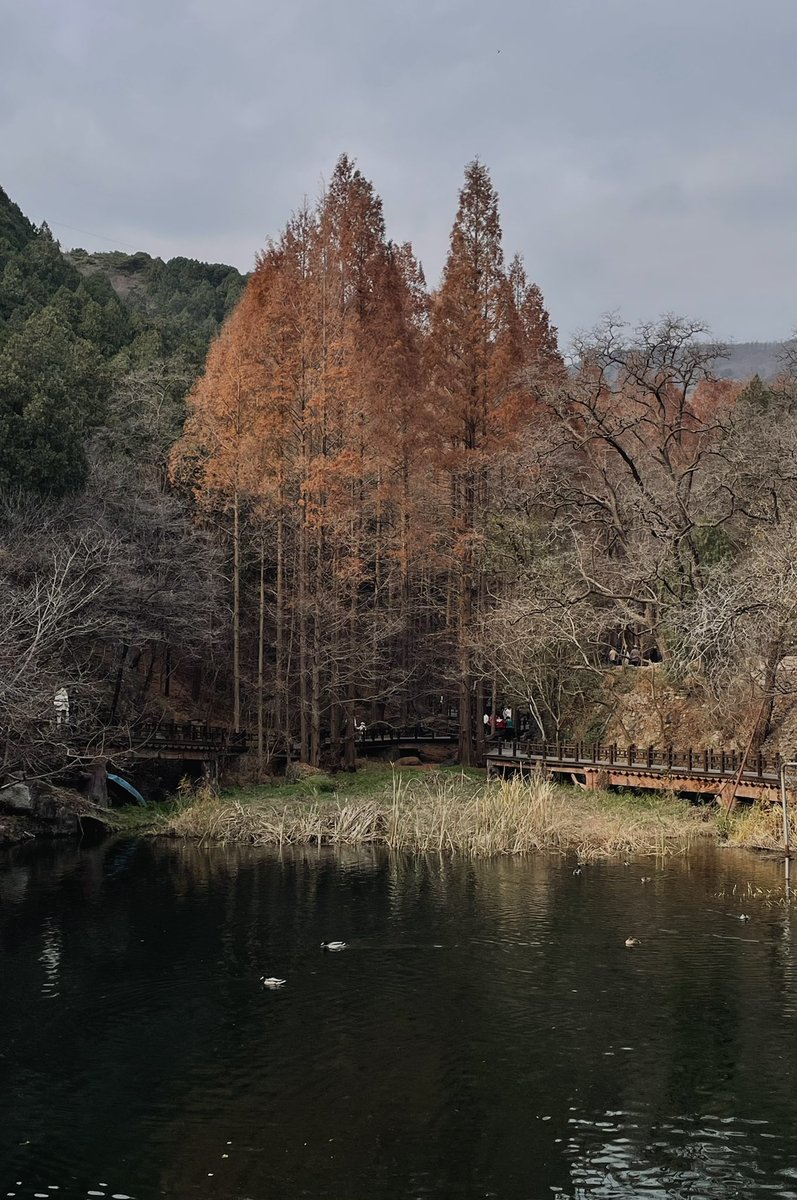 RE4 (@oak_grove13) on Twitter photo 