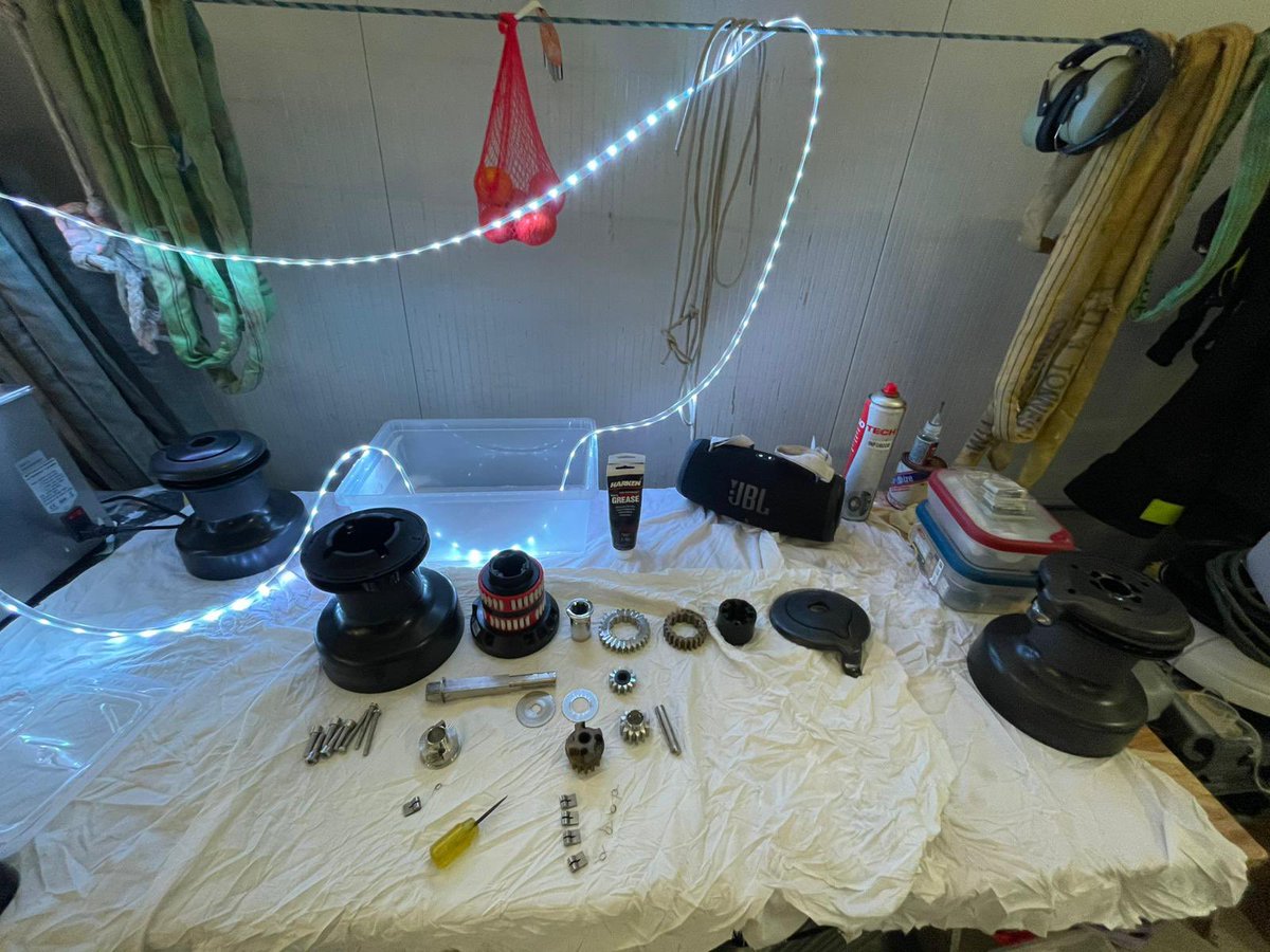 Skipper Macif tweet media